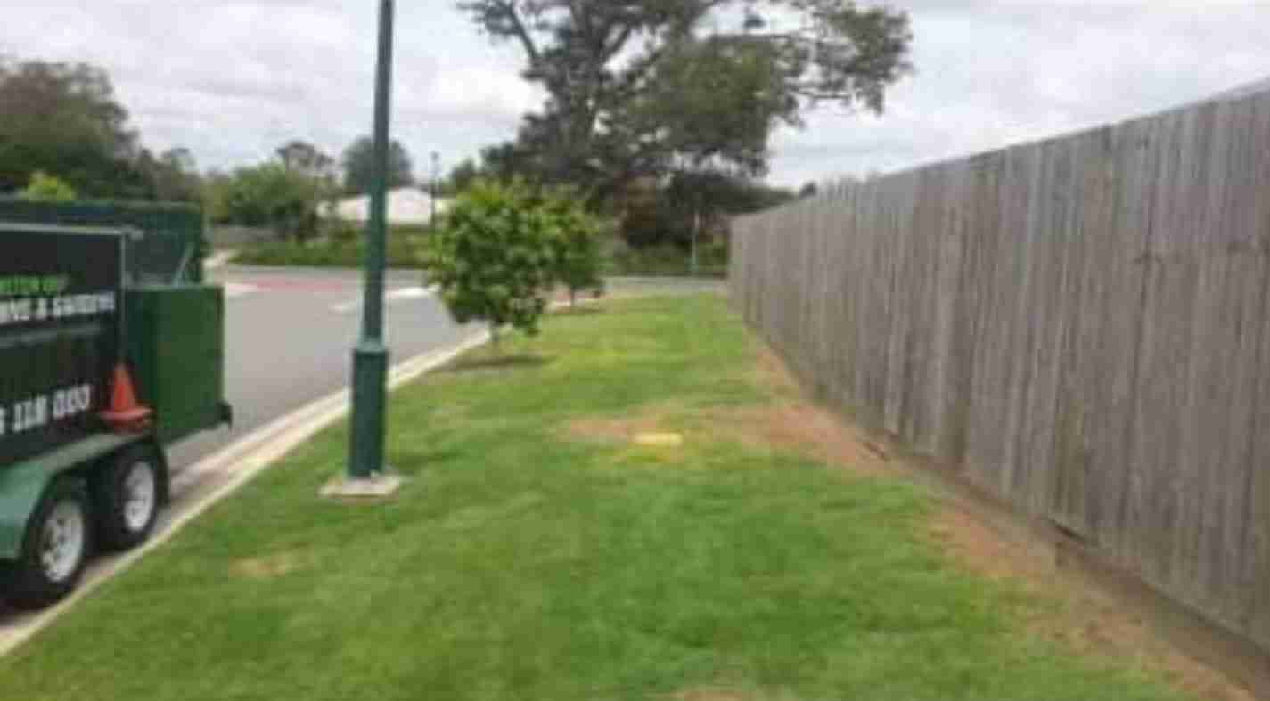 Lawn repair wintergreen caboolture