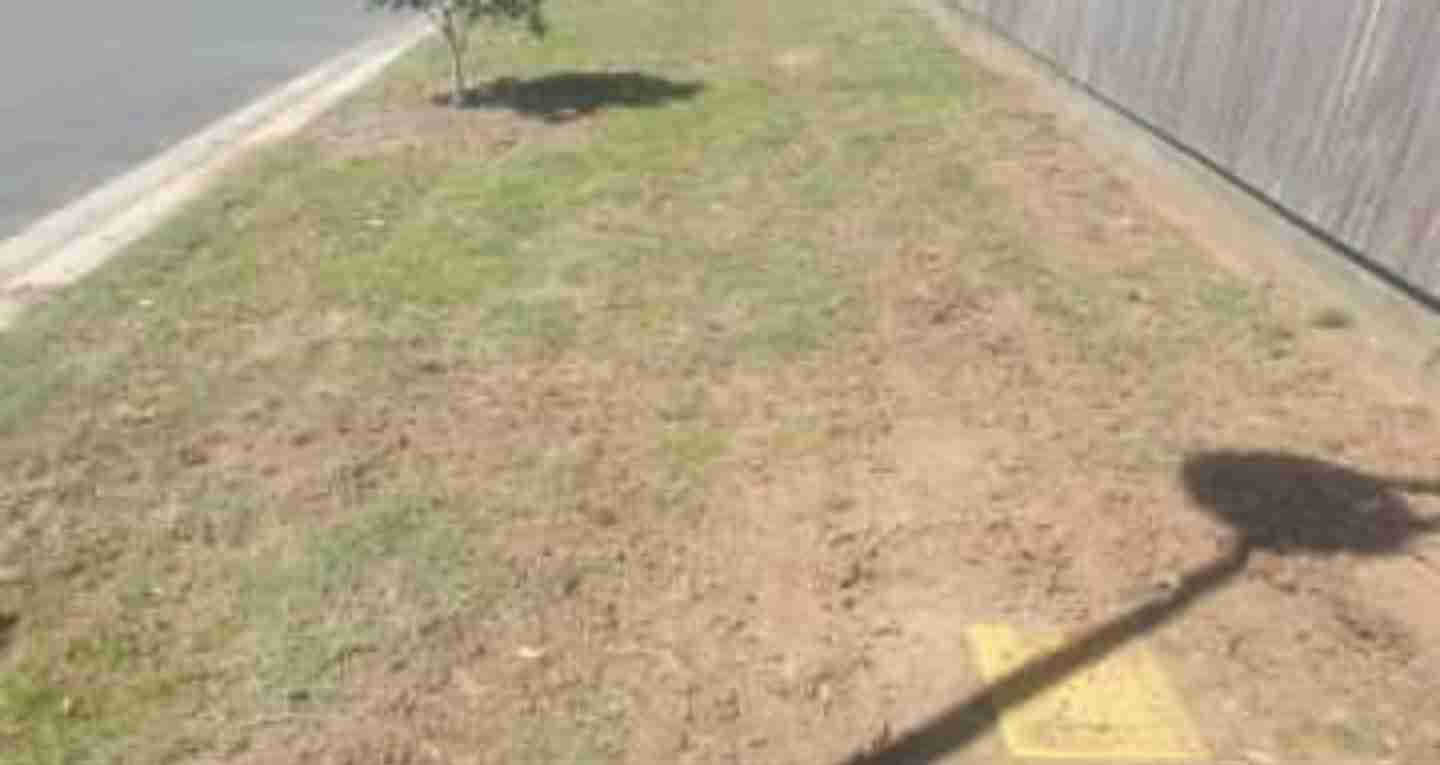 Lawn improvement coring caboolture