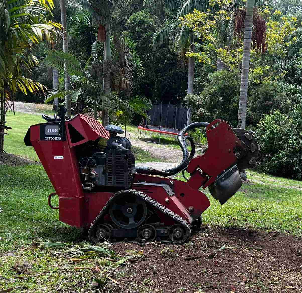 Stump grinding and removal