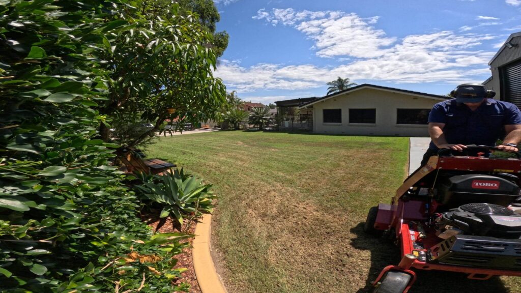 LAWN CORING