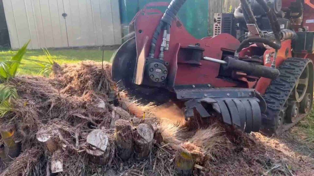 Stump grinding caboolture