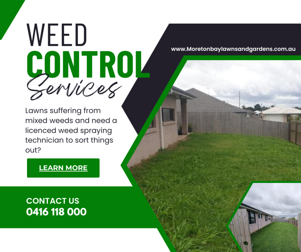 Weed control and weed spraying