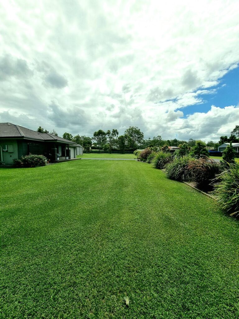 Upper Caboolture lawn mowing 5